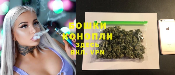бошки Белокуриха