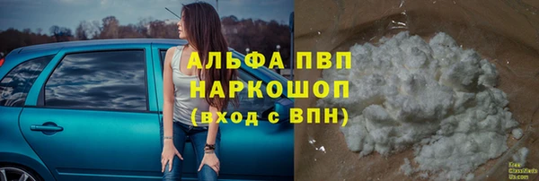 бошки Белокуриха