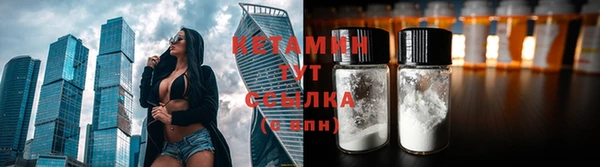 бошки Белокуриха