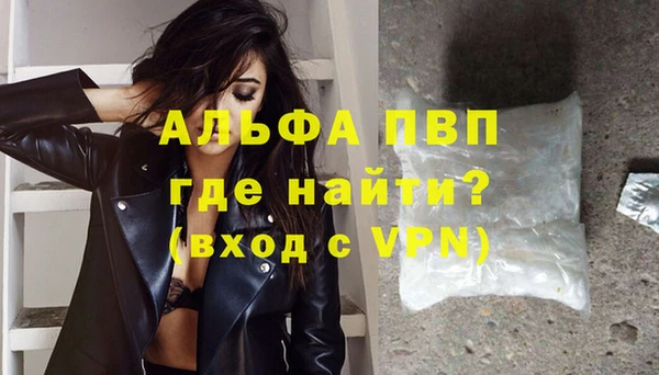 бошки Белокуриха
